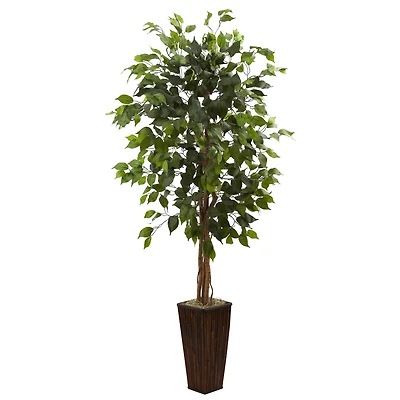 5.5ft. Ficus Tree in Bamboo Planter