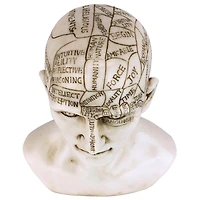 Design Toscano 6" Phrenology the Science of the Brain Victorian Replica Statue