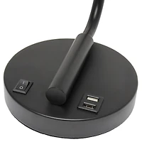 Lalia Home Iron Desk Lamp with USB Port and Glass Shade