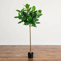 5ft. Artificial Petite Audrey Ficus Tree