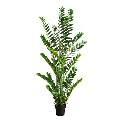 6ft. Artificial Zamioculcas Plant