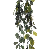 25" Hanging Seeded Eucalyptus by Ashland®