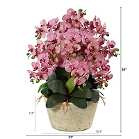 3ft. Moth Orchid Arrangement in White Vase