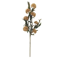 30" Cream Sedum Stem by Ashland®