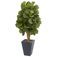 5.5ft. Fiddle Leaf Tree in Slate Planter