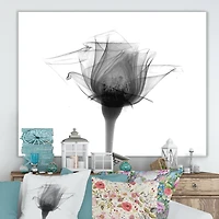 Designart - Rose #10 X-Ray