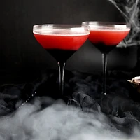 JoyJolt® 10.5oz. Black Swan Martini Glasses, 2ct.