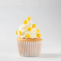 PME Cake Sweet Street® Sunshines Sprinkles