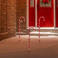 2ft. Red & White Lighted Candy Cane Christmas Light Set