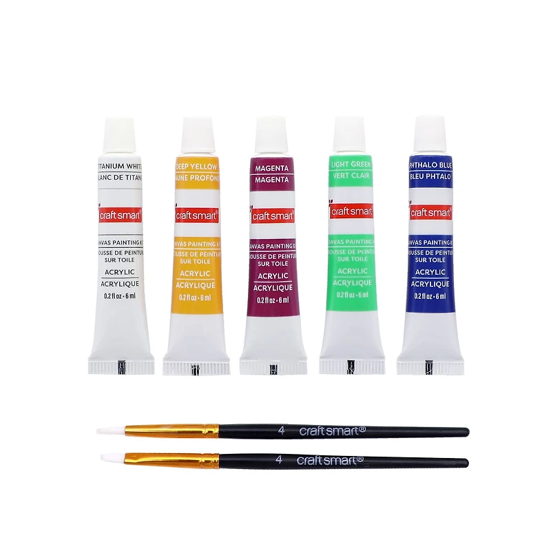 5" x 5" Moth in Web Canvas Painting Kit by Craft Smart®