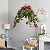 3ft. Pink Bougainvillea in Hanging Metal Bowl