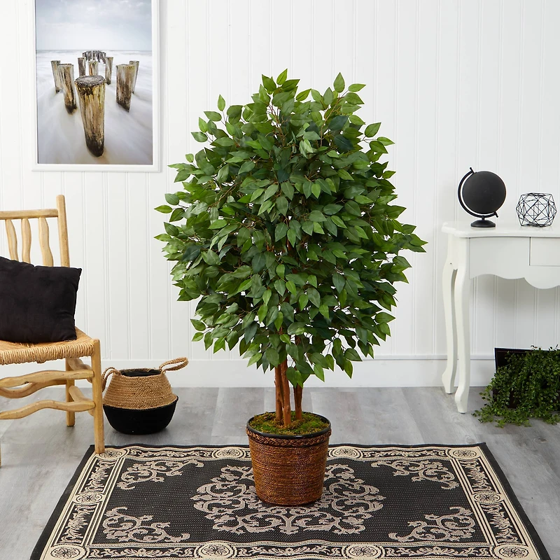 5ft. Super Deluxe Ficus Tree in Wicker Planter