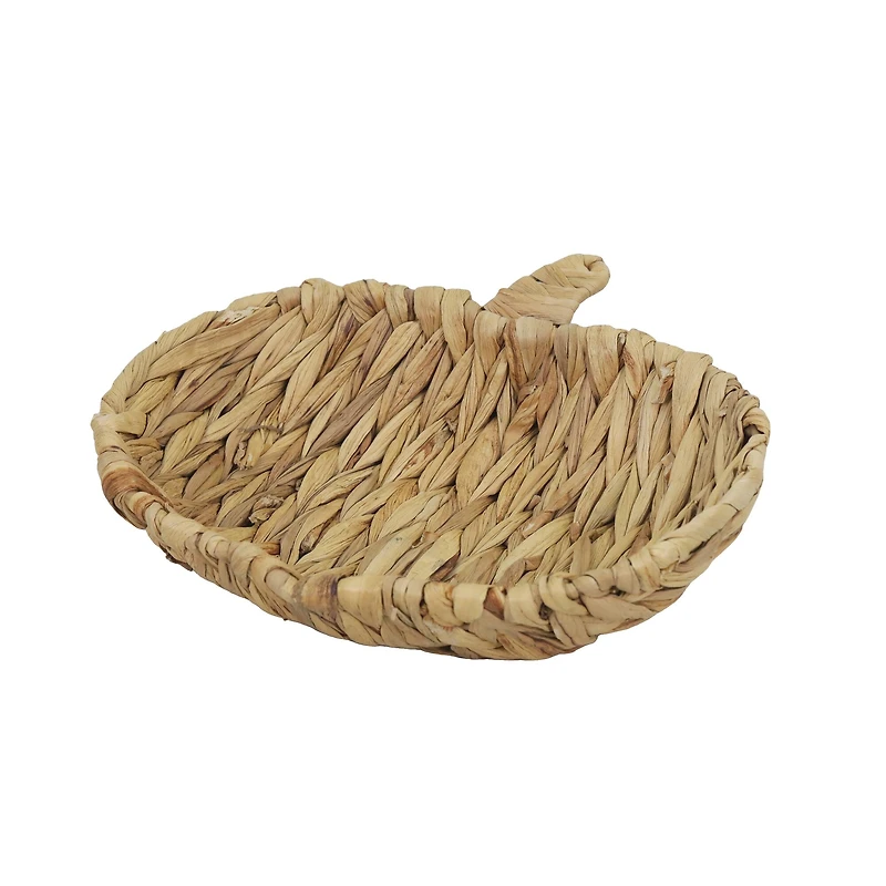 Natural Woven Water Hyacinth Pumpkin Basket by Ashland