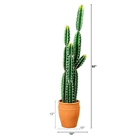 5ft. Cactus in Terracotta Planter