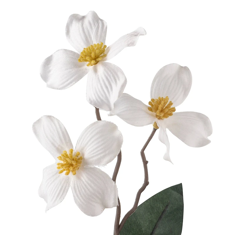 White Mini Dogwood Stem by Ashland®