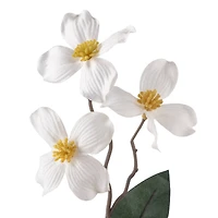 White Mini Dogwood Stem by Ashland®