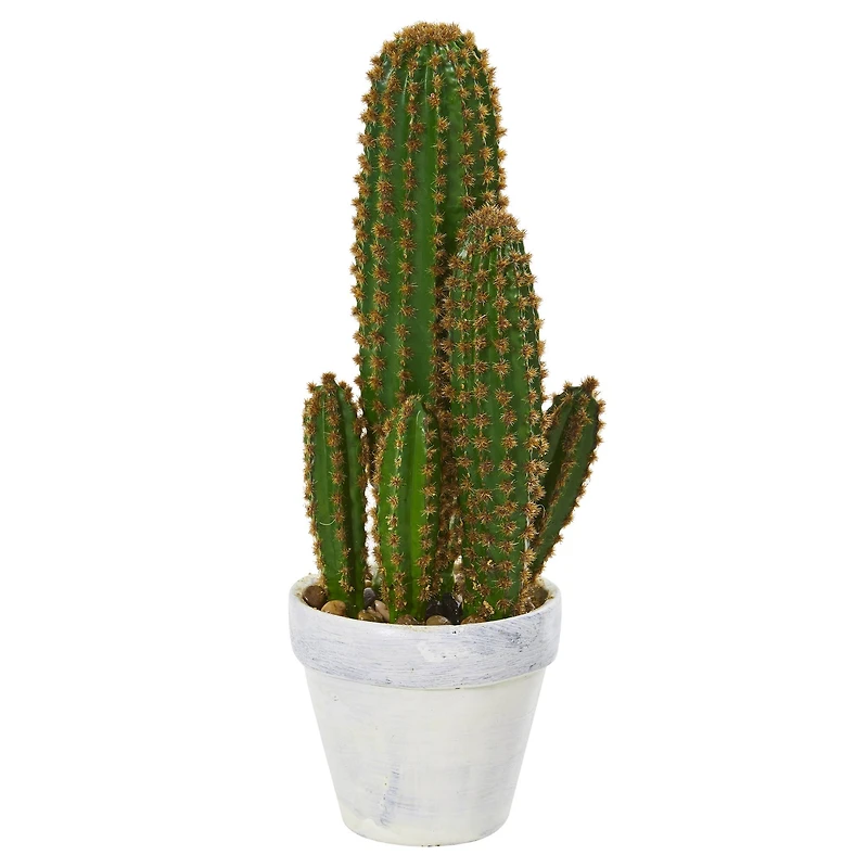 1.5ft. Cactus Succulent in White Planter