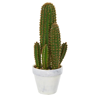 1.5ft. Cactus Succulent in White Planter