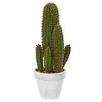 1.5ft. Cactus Succulent in White Planter