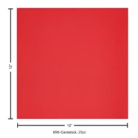 PA Paper™ Accents 12" x 12" 65lb. Smooth Cardstock, 25 Sheets
