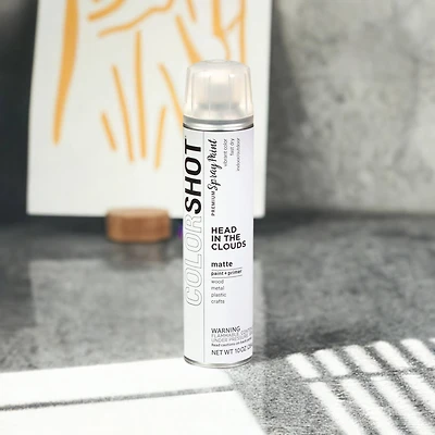 COLORSHOT® Head In the Clouds Matte Spray Paint
