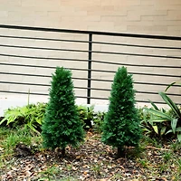 3ft. UV Resistant Cedar Plant Set with Integrated Ground Stake