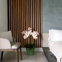 3.5ft. White Orchid Arrangement in Patina Metal Planter with Stand