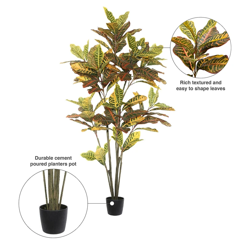 5ft. Potted Green & Orange Croton Tree