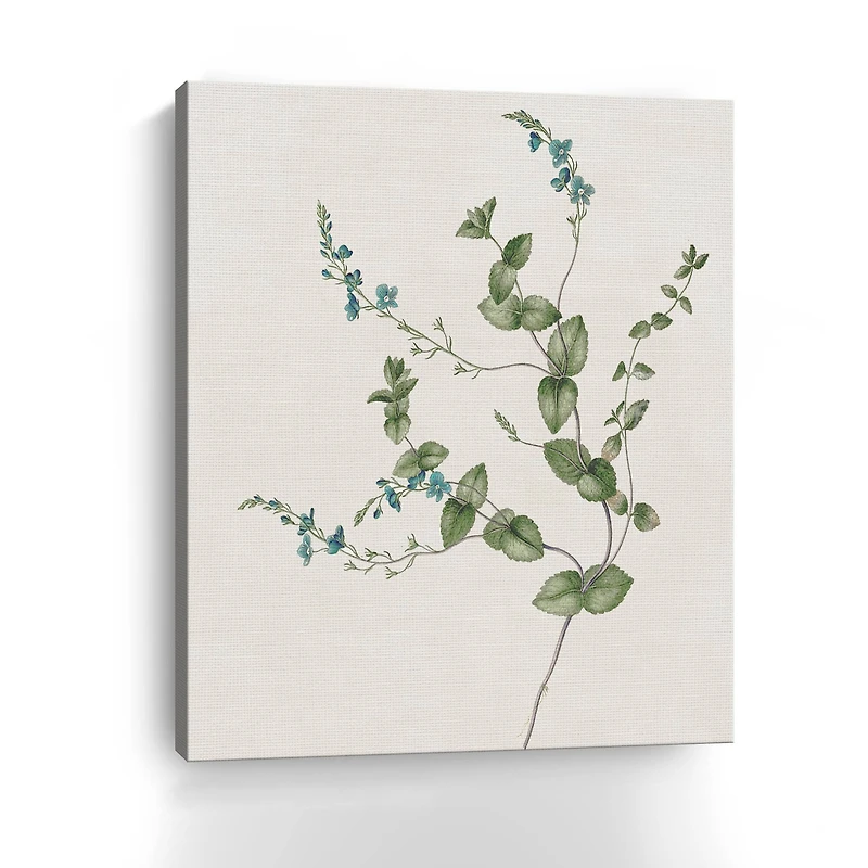 Blue Wispy II Canvas Giclee