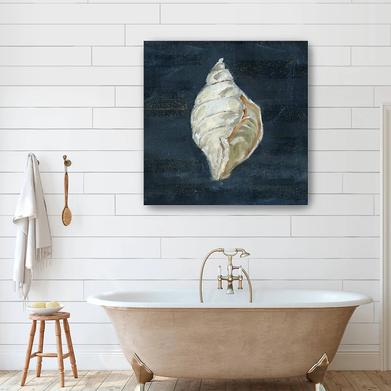 Night Shell II Canvas Giclee