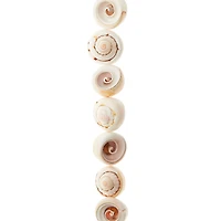 12 Packs: 13 ct. (156 total) White Swirl Shell Beads, 16mm by Bead Landing™