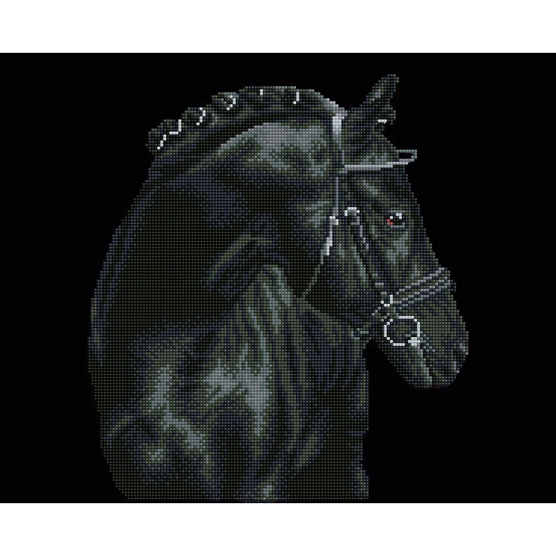 Diamond Dotz® Intermediate Black Sheen Diamond Painting Kit