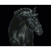 Diamond Dotz® Intermediate Black Sheen Diamond Painting Kit