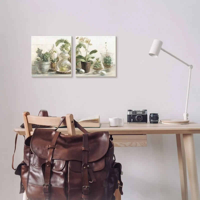 Stupell Industries Succulent House Plants Country Charm Green Brown,12" x 12"