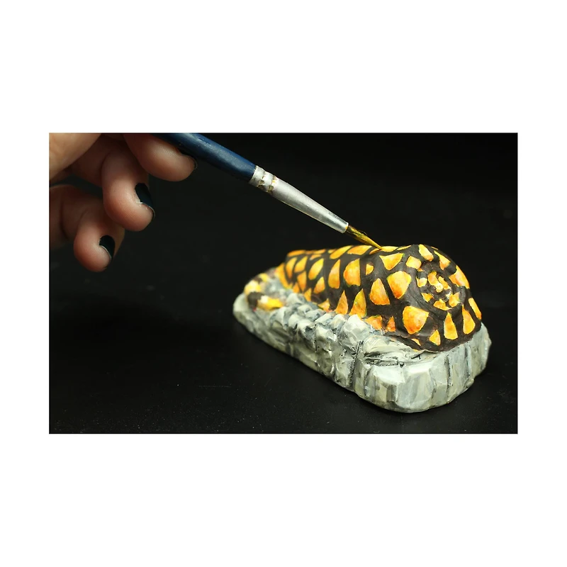 Wild Environmental Science - Extreme Aquatic Predators of the World