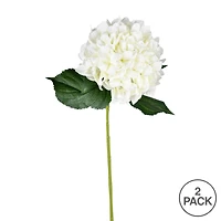 White Hydrangea Stem, 2ct.