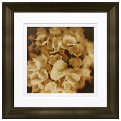 Timeless Frames® Snowball Floral Framed Print Wall Art