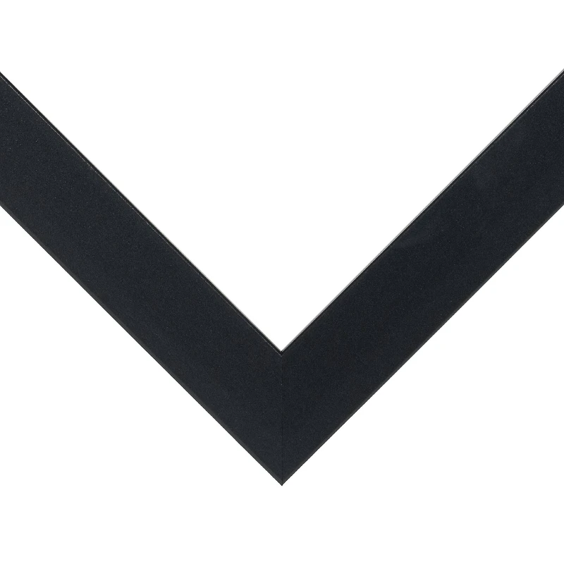 WallsThatSpeak Vertically or Horizontally Hanging Black Picture Frame