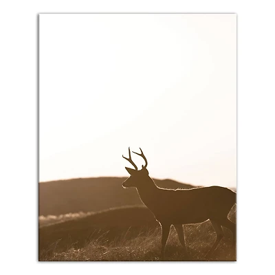 Morning Deer 16" x 20" Canvas Wall Art