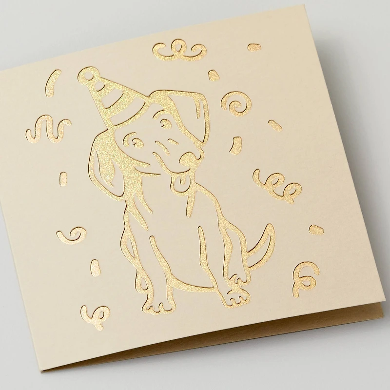 Cricut® S40 Cutaway Cards, Neutrals Sampler