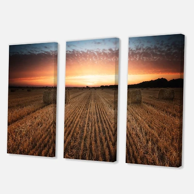 Designart - Landscape With A Field Full of Hay Bales At Sunset