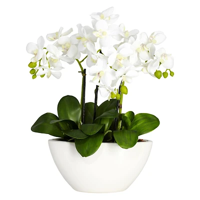 15" Phalaenopsis Arrangement in White Bowl Vase