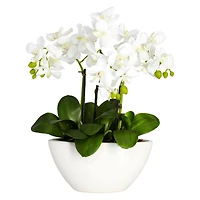 15" Phalaenopsis Arrangement in White Bowl Vase