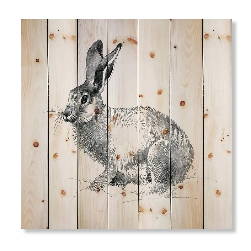 Designart - Monochrome Portrait Of Rabbit