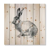 Designart - Monochrome Portrait Of Rabbit