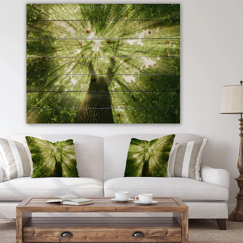 Designart - Sunlight Peeking through Green Tree