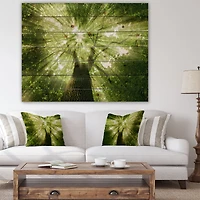 Designart - Sunlight Peeking through Green Tree