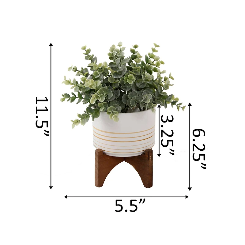 Flora Bunda® 4.75" Eucalyptus In Ceramic Pot On Wood Stand