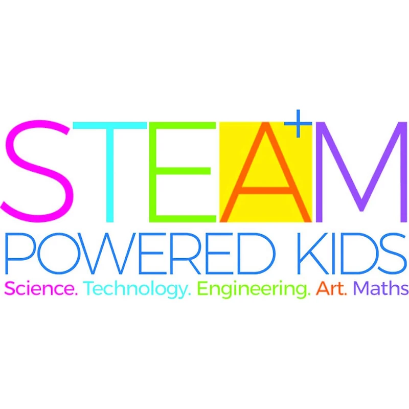 Toysmith® Pressed Flower Art Kit