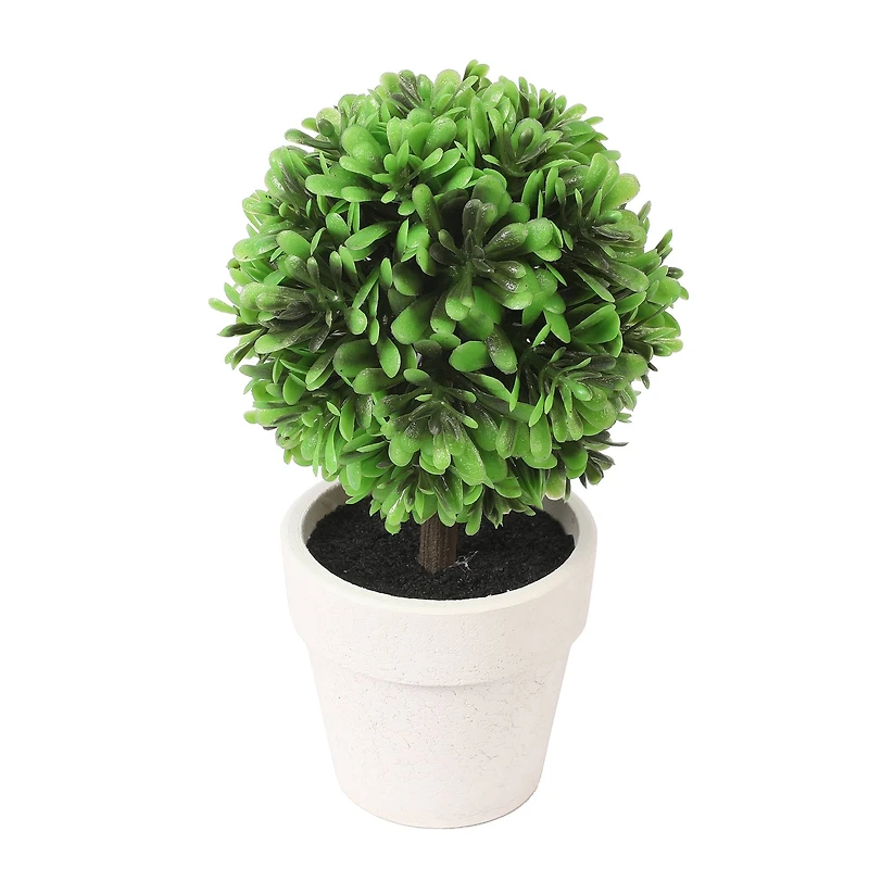 6.75" Premade Green Boxwood Ball Topiaries in Plastic Pots, 3ct. by Ashland®